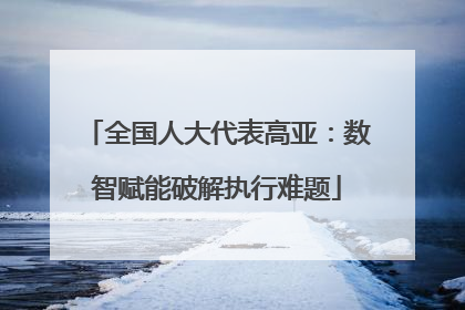 全国人大代表高亚：数智赋能破解执行难题