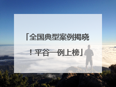 全国典型案例揭晓！平谷一例上榜