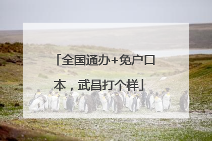 全国通办+免户口本，武昌打个样