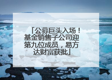 公募巨头入场！基金销售子公司迎第九位成员，易方达财富获批