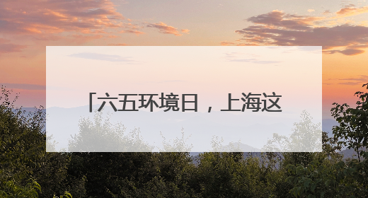 六五环境日，上海这场绿色行动让空瓶开启 “再生之旅”