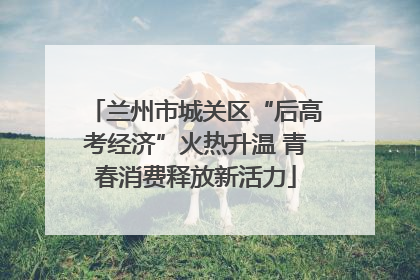 兰州市城关区“后高考经济”火热升温 青春消费释放新活力