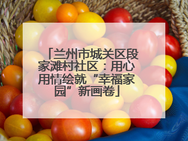 兰州市城关区段家滩村社区：用心用情绘就“幸福家园”新画卷