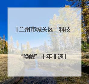 兰州市城关区：科技“唤醒”千年非遗