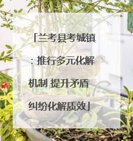 兰考县考城镇：推行多元化解机制 提升矛盾纠纷化解质效