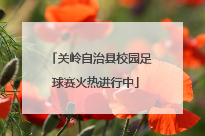 关岭自治县校园足球赛火热进行中