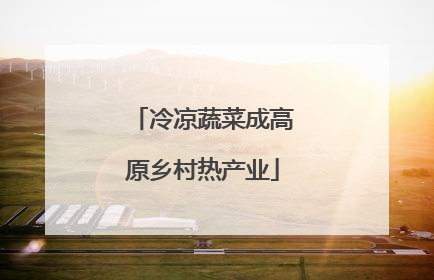 冷凉蔬菜成高原乡村热产业