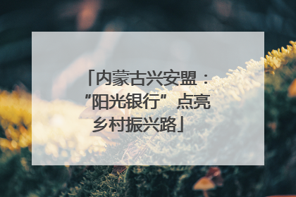 内蒙古兴安盟：“阳光银行”点亮乡村振兴路