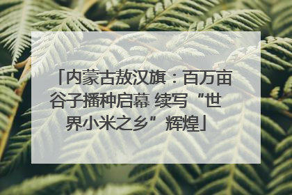 内蒙古敖汉旗：百万亩谷子播种启幕 续写“世界小米之乡”辉煌