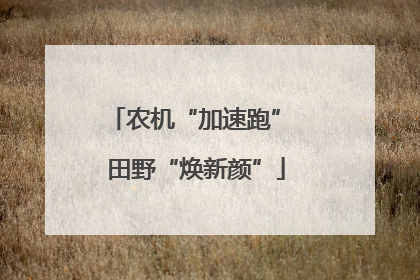 农机“加速跑” 田野“焕新颜”