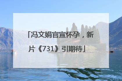 冯文娟官宣怀孕，新片《731》引期待