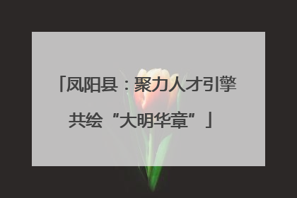 凤阳县：聚力人才引擎 共绘“大明华章”