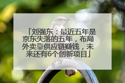 刘强东：最近五年是京东失落的五年，布局外卖靠供应链赚钱，未来还有6个创新项目