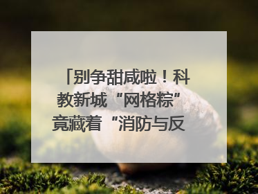 别争甜咸啦！科教新城“网格粽”竟藏着“消防与反诈秘籍”
