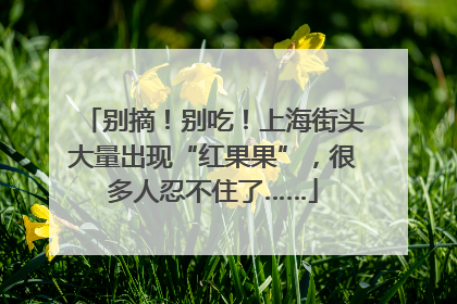 别摘！别吃！上海街头大量出现“红果果”，很多人忍不住了……