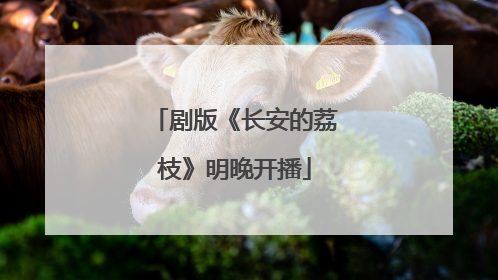 剧版《长安的荔枝》明晚开播
