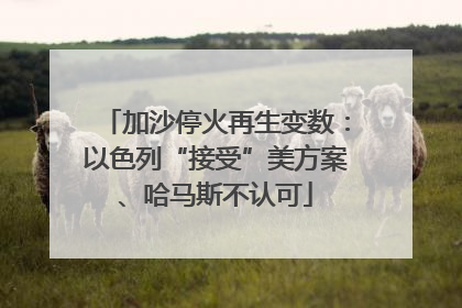 加沙停火再生变数：以色列“接受”美方案、哈马斯不认可