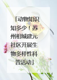 动物知识知多少！苏州相城建元社区开展生物多样性科普活动