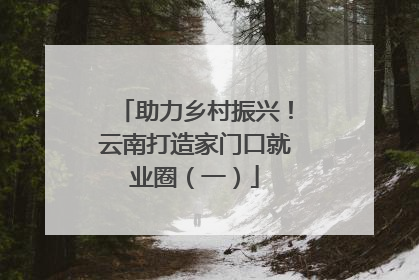 助力乡村振兴！云南打造家门口就业圈（一）