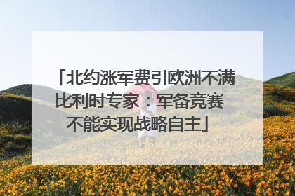 北约涨军费引欧洲不满 比利时专家：军备竞赛不能实现战略自主