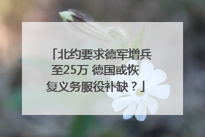 北约要求德军增兵至25万 德国或恢复义务服役补缺？
