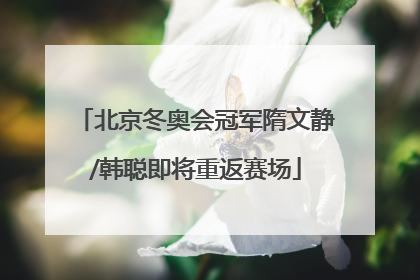 北京冬奥会冠军隋文静/韩聪即将重返赛场