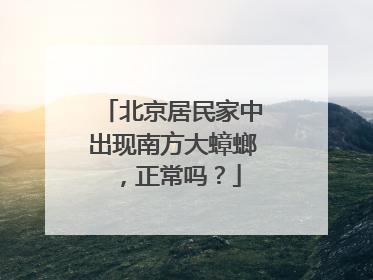 北京居民家中出现南方大蟑螂，正常吗？