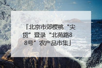 北京市郊樱桃“尖货”登录“北苑路88号”农产品市集