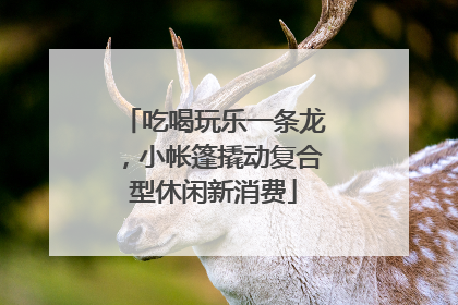吃喝玩乐一条龙，小帐篷撬动复合型休闲新消费