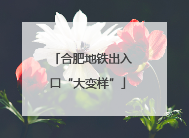 合肥地铁出入口“大变样”