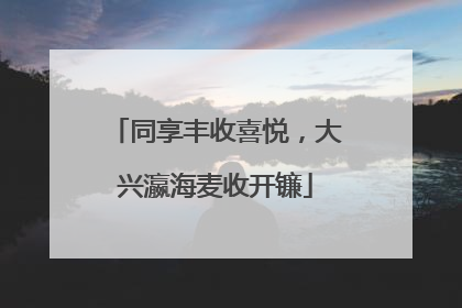 同享丰收喜悦，大兴瀛海麦收开镰