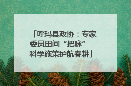 呼玛县政协：专家委员田间“把脉” 科学施策护航春耕