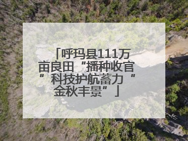 呼玛县111万亩良田“播种收官”科技护航蓄力“金秋丰景”