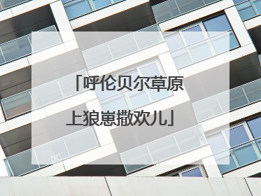 呼伦贝尔草原上狼崽撒欢儿