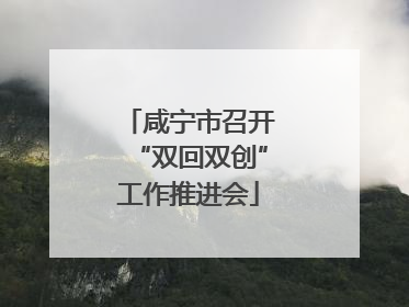 咸宁市召开“双回双创”工作推进会