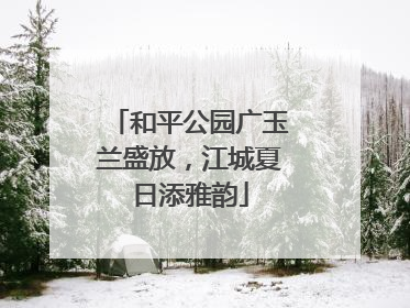 和平公园广玉兰盛放，江城夏日添雅韵