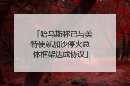哈马斯称已与美特使就加沙停火总体框架达成协议