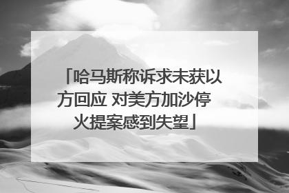 哈马斯称诉求未获以方回应 对美方加沙停火提案感到失望