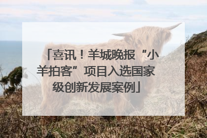 喜讯！羊城晚报“小羊拍客”项目入选国家级创新发展案例