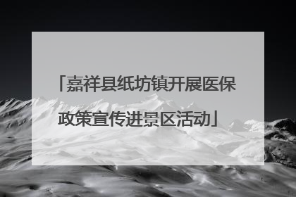 嘉祥县纸坊镇开展医保政策宣传进景区活动