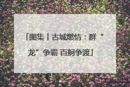 图集丨古城燃情：群“龙”争霸 百舸争渡