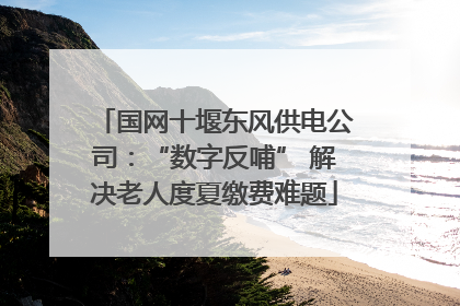 国网十堰东风供电公司：“数字反哺” 解决老人度夏缴费难题