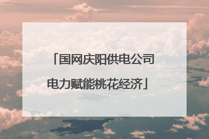 国网庆阳供电公司电力赋能桃花经济