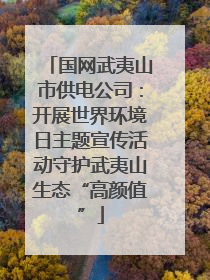 国网武夷山市供电公司：开展世界环境日主题宣传活动守护武夷山生态“高颜值”
