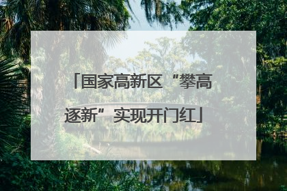 国家高新区“攀高逐新”实现开门红