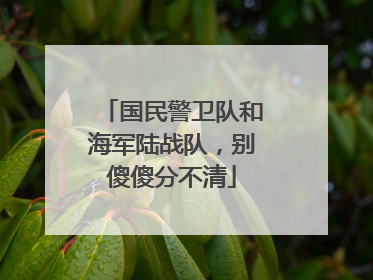 国民警卫队和海军陆战队，别傻傻分不清