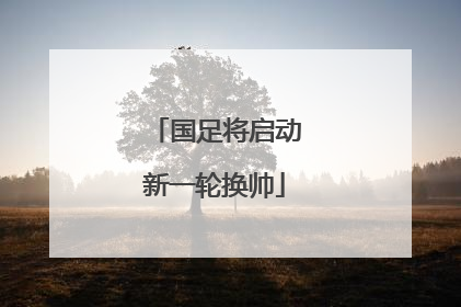 国足将启动新一轮换帅