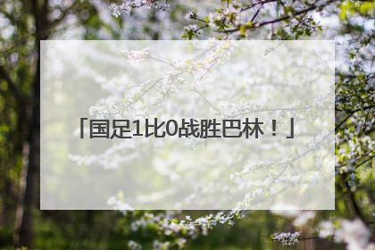国足1比0战胜巴林！