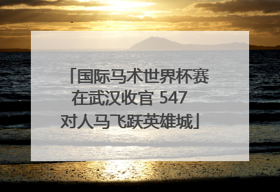 国际马术世界杯赛在武汉收官 547对人马飞跃英雄城