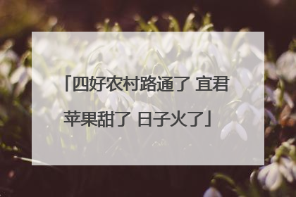 四好农村路通了 宜君苹果甜了 日子火了